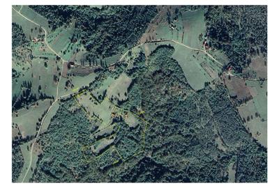 Teren Construcții extravilan de 51000 mp, în Bulz