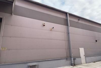 Spatiu depozitare si productie soseaua de centura Odai - 2