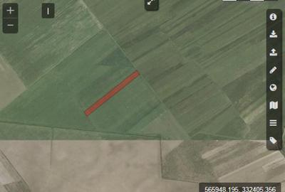 Teren de 12600 mp, în Ulmi - 1
