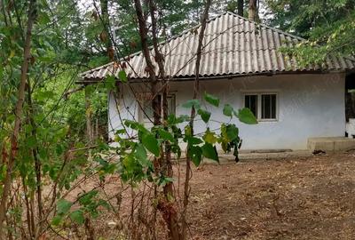 Vand casa in Crasna, Vaslui - 8