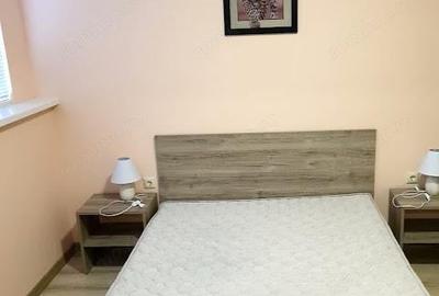 Garsonieră în Calea București - 3