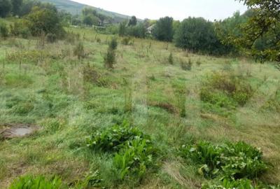 Teren de 1100 mp, în Central