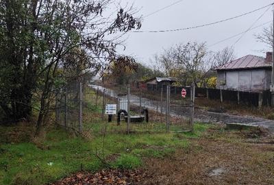 Casa batraneasca plus teren 1600mp Toporu jud. Giurgiu - 5