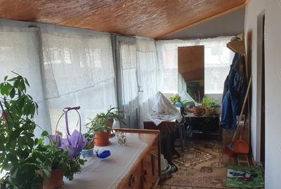 Vand casa la tara - 6