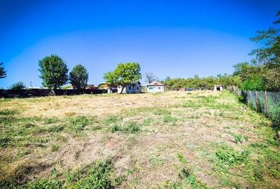 Casă cu 3 camere cu Teren 2000 Mp în Negrași - 2