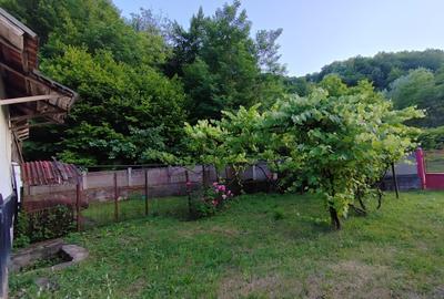 Vand casa( comuna Baita) - 7