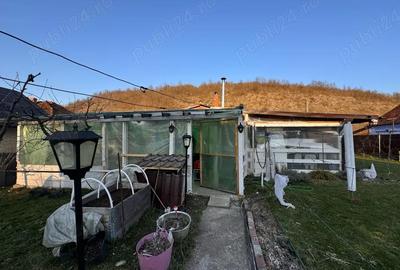 Casă cu Teren 2900 Mp în Trestia - 2