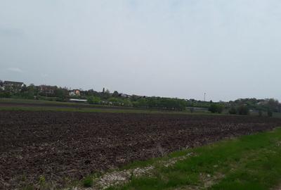 Teren extravilan, Cotofenii din Fata, jud Dolj -id 6954-0... - 3