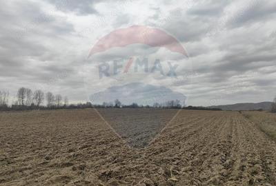 Teren de 11900 mp, în Fârdea - 4