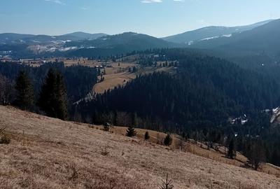 Teren de 1000 mp, în Arieșeni - 3
