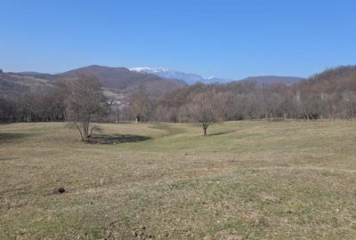 Spațiu comercial, în Zmeurătu - 3