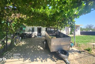 Casă cu 4 camere cu Teren 630 Mp în Moșnița Nouă - 8