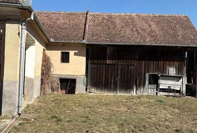 Casă cu Teren 10000 Mp în Băla - 1