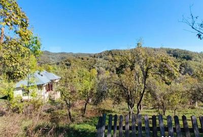 Teren de 2406 mp, în Central - 8