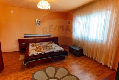 Casă de vanzare Certeju de Sus,jud Hunedoara - 12