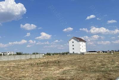 Spațiu comercial, în Torontalului - 1