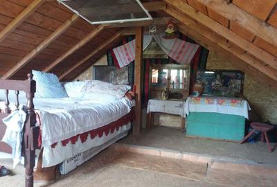 Vand casa noua de vacanta cu o camera plus mansarda - 9