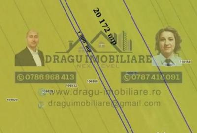 Teren de 75000 mp, în Munteni - 3