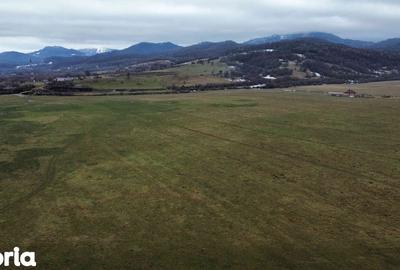 Teren de 1290 mp, în Central