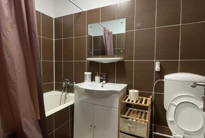 Propietar, închiriez garsonieră complet utilată în zona Piața Muncii/Călărași - 8