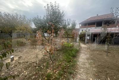 Casă cu 4 camere cu Teren 1316 Mp în 14 Mai - 9