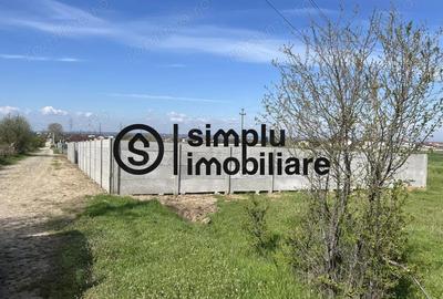 Teren Intravilan Simnicul de sus - 3