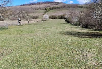 Casă cu Teren 3500 Mp în Pestișu Mic - 4