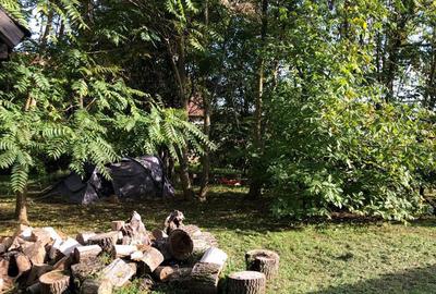 Casă cu 4 camere în Șicula - 4