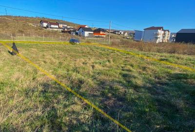 Spațiu comercial, în Bucium - 5