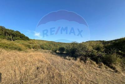 Teren cu parau | 50,000 mp | zona Caianu-Vama | la lizi... - 7