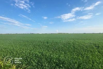 Teren arabil 10.000 mp, Calea Sagului DN 59 - 2