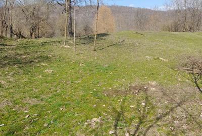 Teren de 2650 mp, în Malurile - 3