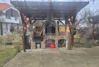 Casa cu 2 camere, 65 mp, teren 2910 mp, in Viile Satu Mare - 18