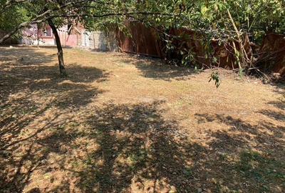 Casă cu 5 camere în Fratelia - 3