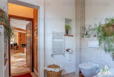 Vila EXCELENTA de vanzare Drumul Taberei - 15