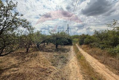 De vanzare Teren 3995mp intravilan Saldabagiu de Munte - 5