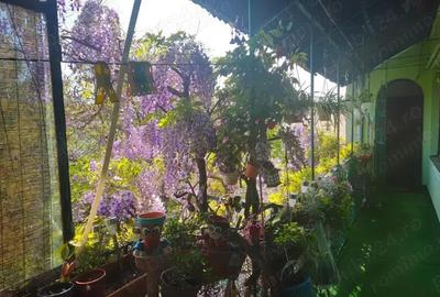 4 cam centr proprie ETAJ 1 zona Centrala - 1