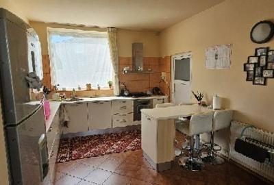 Ciopani vila 5 camere teren 4000 mp - 20