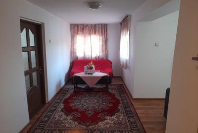 Casă cu 4 camere în Sânmihaiu Român - 2