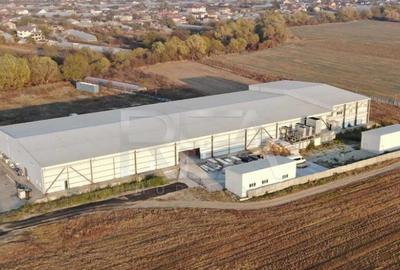 Hala temperatura controlata | Depozitare/Productie | Vidra\C - 5