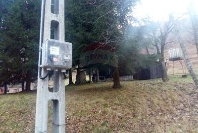 Teren 6700 mp, Apuseni, Pietroasa, Valea Aleului, Bihor, De Vanzare - 1