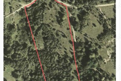 Teren de 28000 mp, în Central - 1