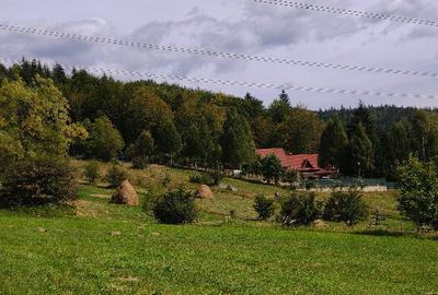 Teren de 11000 mp, în Valea Doftanei - 5