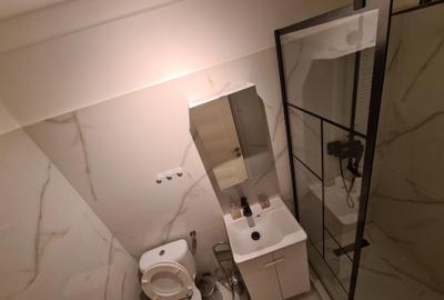 Theodor Pallady/Piata Trapezului,1 minut metrou - 6