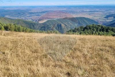 Teren  extravilan - 2