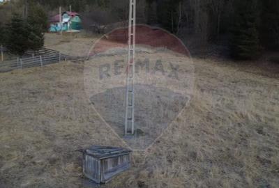 Casă cu 2 camere cu Teren 9287 Mp în Sunători - 13