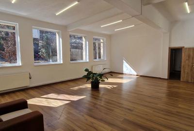 Spațiu comercial, de 113 mp, în Drumul Carului - 5