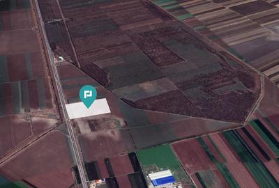 Teren de 48300 mp, în Glina