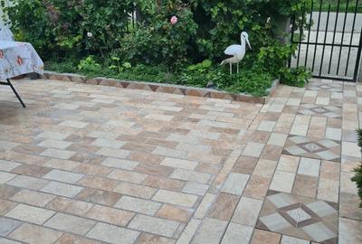 Casă cu 4 camere în Sâmboleni - 3