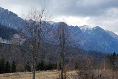 Spațiu comercial, în Central - 1